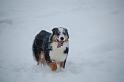 DSC_0070 (2)